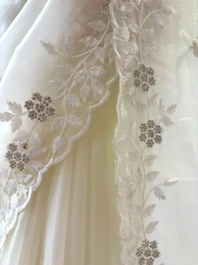 Off-White  All-Over Thread & Siroski Work Organza Saree
